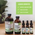 Organic Mushroom Extract – Reishi, Chaga, Shiitake, Maitake, Lion’s Mane – Immune System & Energy Booster - Anti-Inflammatory - 250ml - Vegan - Made in Canada - Image 4