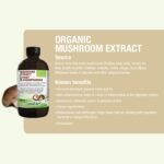 Organic Mushroom Extract – Reishi, Chaga, Shiitake, Maitake, Lion’s Mane – Immune System & Energy Booster - Anti-Inflammatory - 250ml - Vegan - Made in Canada - Image 6