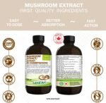 Organic Mushroom Extract – Reishi, Chaga, Shiitake, Maitake, Lion’s Mane – Immune System & Energy Booster - Anti-Inflammatory - 250ml - Vegan - Made in Canada - Image 7
