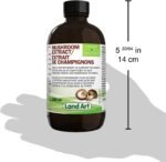 Organic Mushroom Extract – Reishi, Chaga, Shiitake, Maitake, Lion’s Mane – Immune System & Energy Booster - Anti-Inflammatory - 250ml - Vegan - Made in Canada - Image 8