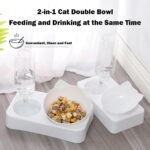 Marchul Cat Bowls, Cat Food and Water Bowl Set with Water Dispenser, 15° Tilted Cat Bowl for Indoor Cats, Raised Cat Bowl for Cats and Small Dogs (with Mat) - Image 3