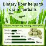 90g Cat Grass Treats, Cat Grass Teething Stick for Hairball Remove and Teeth Cleaning, Edible Cats Grasses Stick Snack - Image 6