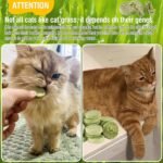 90g Cat Grass Treats, Cat Grass Teething Stick for Hairball Remove and Teeth Cleaning, Edible Cats Grasses Stick Snack - Image 10