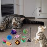 37 PCS Cat Toys Kitten Toys, Rainbow Tunnel Interactive Cat Feather Teaser Cat Wand Toys with Super Suction Cup Fluffy Mouse Crinkle Balls Spring Toy Set for Cat - Image 5