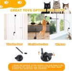 37 PCS Cat Toys Kitten Toys, Rainbow Tunnel Interactive Cat Feather Teaser Cat Wand Toys with Super Suction Cup Fluffy Mouse Crinkle Balls Spring Toy Set for Cat - Image 7