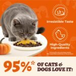 15.5oz Premium Pumpkin Puree for Cats & Dogs - Digestive Health Support,Sensitive Stomach for Soft Cat Treats - Natural Fiber Treat for Dog Food Toppers,Kittens,Puppy Snacks - Image 3