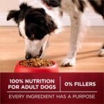 Purina ONE True Instinct High Protein Dry Dog Food, Turkey & Venison - 12.4 kg Bag - Image 8