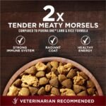 Purina ONE True Instinct High Protein Dry Dog Food, Turkey & Venison - 12.4 kg Bag - Image 9