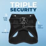 Best Pet Supplies Voyager Step-in Air Harness - All Weather Mesh, Reflective, No Pull Harness for Dogs, Cats - Secure with Hook & Loop Fastener, Buckle, Double D-Rings - Black, S - Image 3