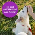 Cloud Star Chewy Tricky Trainers, Liver Flavor, 14-Ounce Pouch - Image 7