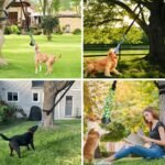 Outdoor Bungee Tug Solo Hanging Toy, Tree Tugger Dog Pull Rope Tug a War for Pitbull Medium Large Aggressive Chewers, Interactive Dog Tether Toy for Yard, 2 Rope Toys - Image 7
