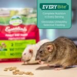 OXBOW Essentials Regal Adult Rat - 20 lb - Image 10