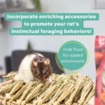 OXBOW Essentials Regal Adult Rat - 20 lb - Image 11