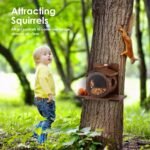 Wood Squirrel Feeder, Squirrel Feeders for Outside Winter, Wall Mounted Chipmunk Feeder, Large Hole Squirrels Feeding House, Spacious Interior Chipmunk House Box for Yard Garden - Image 6