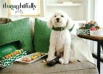 Thoughtfully Pets, Dog Birthday Cookie Gift Set, Hand Decorated Crunchy Dog Treats in Bone Shapes, Great for Dog Birthdays, Set of 8 (8 Count (Pack of 1), Boy) - Image 4