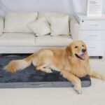 Nepfaivy Dog Bed Large XL - Waterproof Dog Bed for Large Dogs, Big Dog Crate Bed with Removable and Washable Cover, Dark Grey XL(105cm×70cm) - Image 5