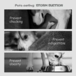 Slow Feeder Dog Bowl for Medium & Small Pets, Anti Choking Puzzle Dog Food Bowl with Non-Slip Base, Interactive Pet Slow Eating, Silicone Feeder for Puppies & Cats - Image 9