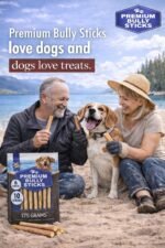 Bully Sticks for Dogs/Chien – 6 Inches, 5 Sticks, 100g – Natural Beef Pizzle Dog Treats for Small to Medium Dogs – Long Lasting, Odor-Free, No Artificial Flavors – Ideal for Dental Health & Chewing - Image 4