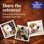 Bully Sticks for Dogs/Chien – 6 Inches, 5 Sticks, 100g – Natural Beef Pizzle Dog Treats for Small to Medium Dogs – Long Lasting, Odor-Free, No Artificial Flavors – Ideal for Dental Health & Chewing - Image 6