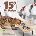 Elevated Cat Bowls with Non Slip Mat, 15° Tilted Raised Anti Vomit Cat Feeder for Food and Water, Pet Feeding Station with 3 Stainless Steel Bowls - Image 4