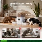 Automatic Cat Feeder 2 Cats with Slow Feed: 7L Dual Automatic Dog Feeder with Information Visualization Interface, Timed Double Auto Cat Food Dispenser for Pets, Detachable for Easy Cleaning - Image 3