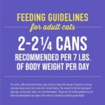 Tiki Cat Fish Favorites Pate Variety Pack Canned Cat Food, 2.8oz Can (case of 24) - Image 7