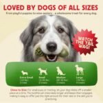 Chewmasters Doggy Toothbrush Treats (12 Pack) – Teeth Cleaning Dog Dental Chews – Healthy Dog Treats for Oral Care – For All Breeds - Image 7