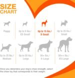 Nylabone Just for Puppies Petite Chicken Flavored Puppy Dog Ring Bone Teething Chew Toy - Image 7