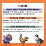 Beyond Wet Cat Food, Poultry Variety Pack 3 Flavours - 85 g Can (12 Pack) - Image 11