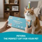 Natural Cat Toys Set, Eco-Friendly Interactive Toys with Feather Mice, Fiber Balls, Wand & Teething Toys | Gift for Cats & Kittens - Image 7