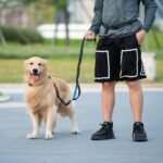 iYoShop Hands Free Dog Leash with Zipper Pouch, Dual Padded Handles and Durable Bungee for Walking, Jogging and Running Your Dog (Large, 25-150 lbs, Black) - Image 8