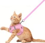 FEimaX Dog Harness and Leash Set, No-Pull Breathable Soft Mesh Puppy Vest Harness Reflective Adjustable Pet Harnesses for Small Medium Large Dogs and Cats - Outdoor Easy Control for Walking - Image 3