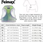FEimaX Dog Harness and Leash Set, No-Pull Breathable Soft Mesh Puppy Vest Harness Reflective Adjustable Pet Harnesses for Small Medium Large Dogs and Cats - Outdoor Easy Control for Walking - Image 5