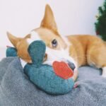 Dog Toys for Aggressive Chewers Indestructible Large Breed and Squeaky Goose for Large Breed - Image 3