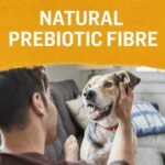 Beyond Natural Wet Dog Food, Chicken, Carrot & Pea Ground Entree - 368 g Can (12 Pack) - Image 5