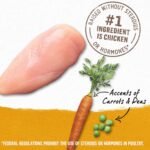 Beyond Natural Wet Dog Food, Chicken, Carrot & Pea Ground Entree - 368 g Can (12 Pack) - Image 6