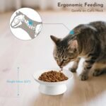 2Pcs Elevated Cat Bowls 15.3cm/6in Wide, Raised Ceramic Cat Dishes Anti Vomiting, Shallow Pet Food Bowls with Stand, Whisker Friendly Neck Protective Pet Feeders, Dishwasher Safe (White) - Image 4