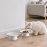 2Pcs Elevated Cat Bowls 15.3cm/6in Wide, Raised Ceramic Cat Dishes Anti Vomiting, Shallow Pet Food Bowls with Stand, Whisker Friendly Neck Protective Pet Feeders, Dishwasher Safe (White) - Image 9