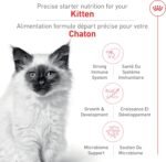 Royal Canin Feline Health Nutrition Dry Kitten Food, Supports Digestive Health, Immune Support and Healthy Energy, 3 lb Bag - Image 3