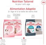 Royal Canin Feline Health Nutrition Dry Kitten Food, Supports Digestive Health, Immune Support and Healthy Energy, 3 lb Bag - Image 4
