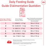 Royal Canin Feline Health Nutrition Dry Kitten Food, Supports Digestive Health, Immune Support and Healthy Energy, 3 lb Bag - Image 5