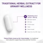 AOR Chanca Piedra 500mg, 90 Vegan Capsules 90-Day Supply, Plant-Based Supplement for Kidney, Urinary & Gallbladder Health, Supports Natural Balance, Promotes Kidney & Urinary System Function, Non-GMO - Image 4