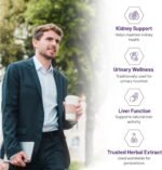 AOR Chanca Piedra 500mg, 90 Vegan Capsules 90-Day Supply, Plant-Based Supplement for Kidney, Urinary & Gallbladder Health, Supports Natural Balance, Promotes Kidney & Urinary System Function, Non-GMO - Image 5