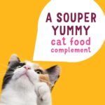 Friskies Lil' Soups Cat Food Complement, Sockeye Salmon in a Velvety Chicken Broth - 34 g Cup (8 Pack) - Image 7