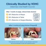 ProDen PlaqueOff Soft Chews with Natural Kelp - for Small & Medium Breed Dogs & Cats - Supports Normal, Healthy Teeth, Gums, and Breath Odor in Dogs & Cats - 90 Soft Chews - Image 6