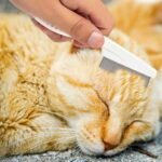 Multifunctional Pet Comb, Magic Fine Comb Grooming Brush for Pets, Stainless Steel Massage Comb Kit for Small Dogs and Cats (Yellow) - Image 6