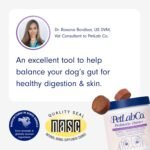 PetLab Co. Probiotics for Dogs - Support Gut Health, Itchy Skin, Seasonal Allergies, and Yeast with Each Tasty Chew - Dog Probiotics - Safe for Small, Medium and Large Dogs - Packaging May Vary - Image 3