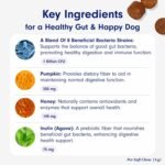 PetLab Co. Probiotics for Dogs - Support Gut Health, Itchy Skin, Seasonal Allergies, and Yeast with Each Tasty Chew - Dog Probiotics - Safe for Small, Medium and Large Dogs - Packaging May Vary - Image 5
