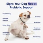 PetLab Co. Probiotics for Dogs - Support Gut Health, Itchy Skin, Seasonal Allergies, and Yeast with Each Tasty Chew - Dog Probiotics - Safe for Small, Medium and Large Dogs - Packaging May Vary - Image 7