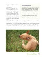 Dr. Khalsa's Natural Dog: Holistic Therapies, Nutrition, and Recipes for Healthier Dogs - Image 6
